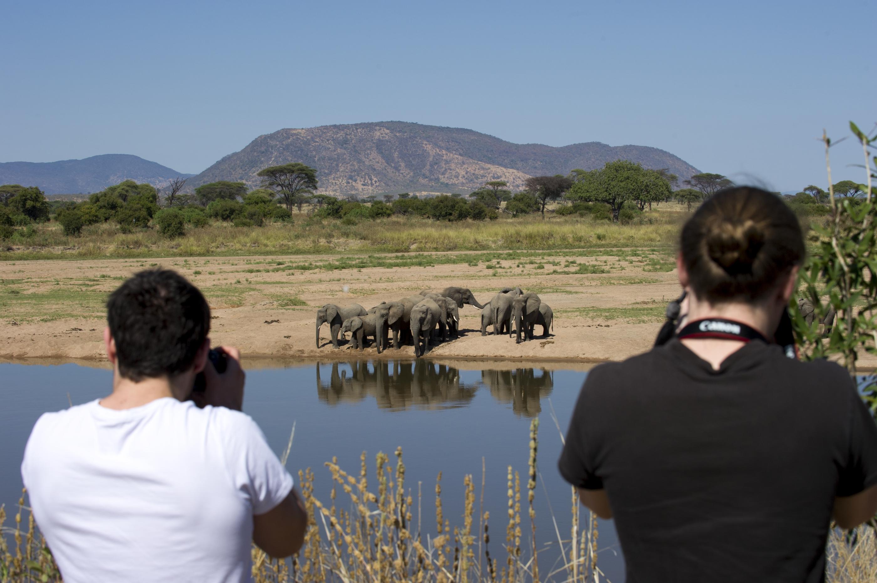 Guided walking safari experience in Tarangire country